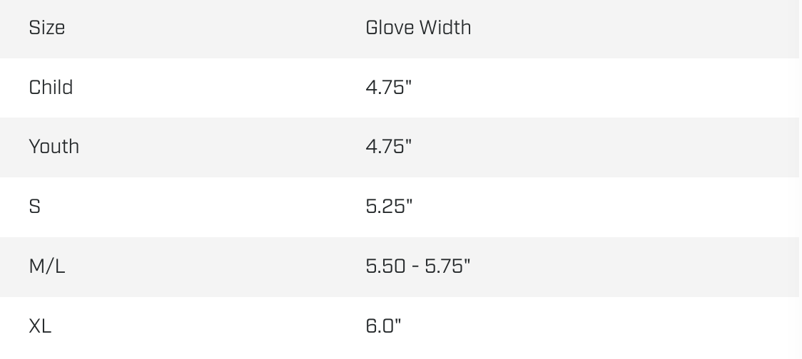 CENTURY - POINT FIGHTING GLOVES